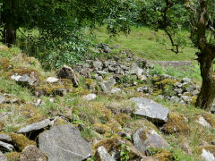 
Rhyswg Fach, Nant Carn, Cwmcarn, July 2011